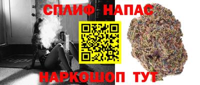 прущие крисы Новодвинск
