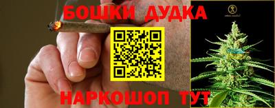 прущие крисы Новодвинск
